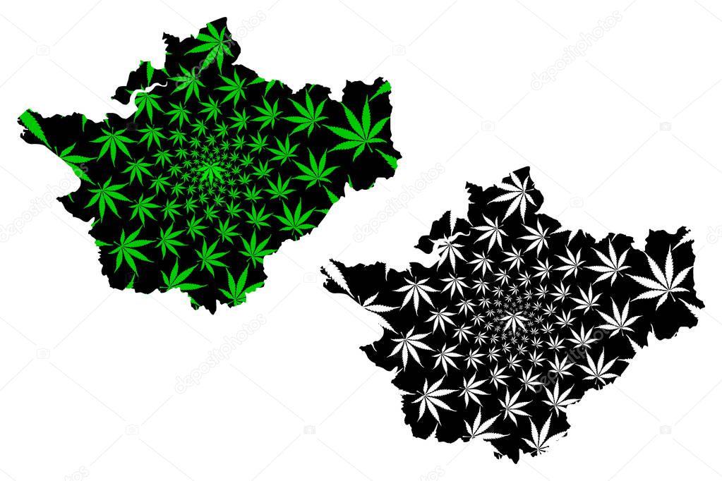 Cheshire (United Kingdom, England, Non-metropolitan county, shire county) map is designed cannabis leaf green and black, County Palatine of Chester map made of marijuana (marihuana,THC) foliag