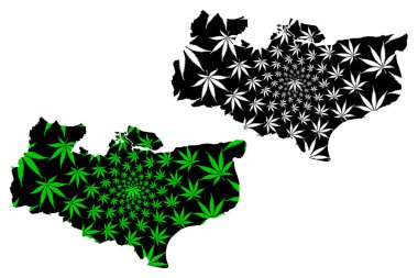 Kent (Birleşik Krallık, İngiltere, metropolitan olmayan bölge, shire ilçesi) haritası kenevir yaprağı yeşil ve siyah, Kent haritası marihuana (marihuana, Thc) yaprağından yapılmıştır.