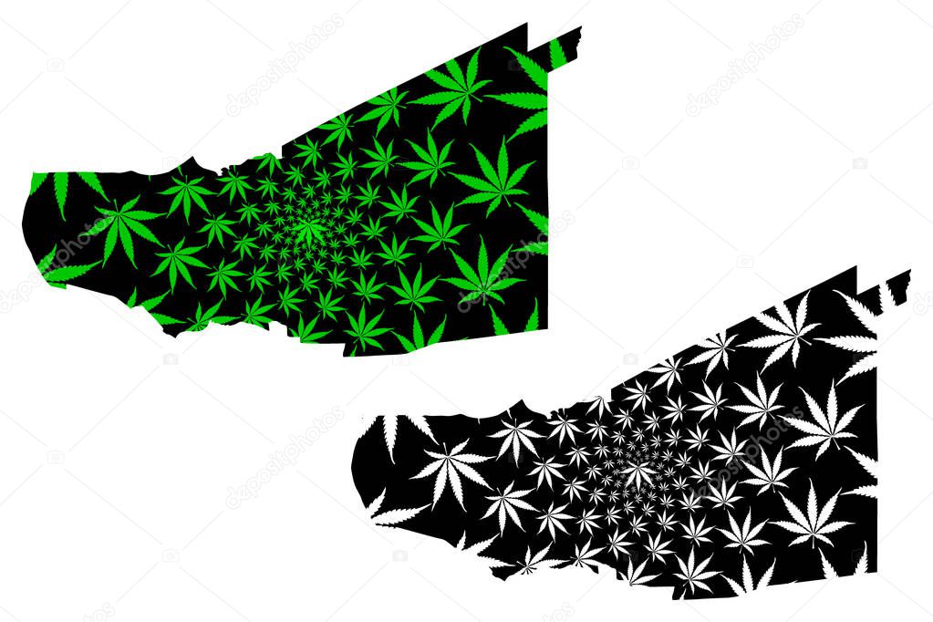 Pathum Thani Province Kingdom Of Thailand Siam Provinces Of Thailand Map Is Designed Cannabis Leaf Green And Black Pathum Thani Map Made Of Marijuana Marihuana Thc Foliage Premium Vector In Adobe Illustrator