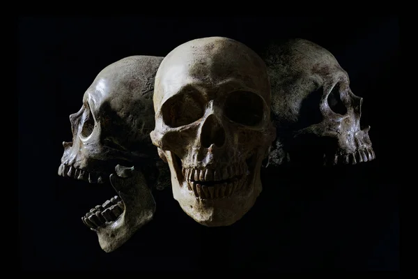 Head skull in flame on dark black background. the symbol of dead.
