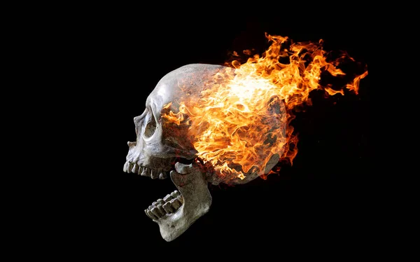 Head Skull Flame Dark Black Background Symbol Dead Stock Picture