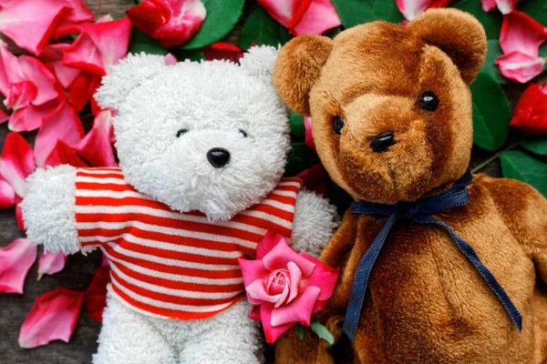 Dwa Zabawka Lalka Miś Mają Zakochać Się Tle Płatki Róży — Zdjęcie stockowe