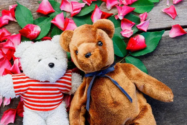 Dois Brinquedo Urso Boneca Ter Cair Amor Com Rosa Pétalas — Fotografia de Stock