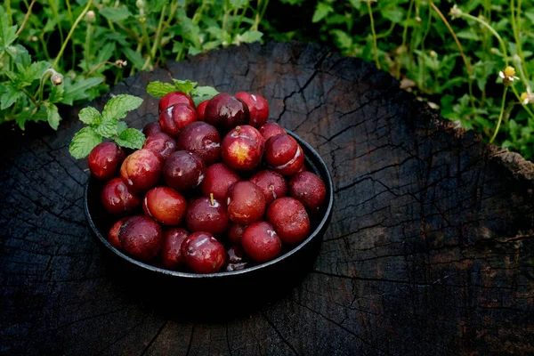 Plum Ju-li