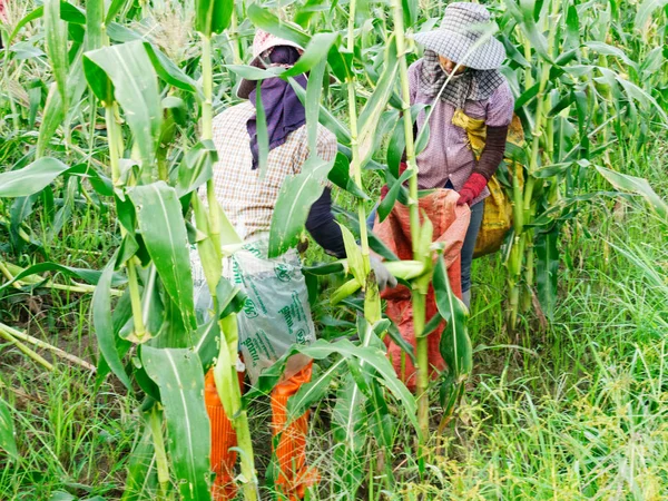 チェンライ、タイ-6 月 07: 外国人労働者ビルマ (Myanm — ストック写真