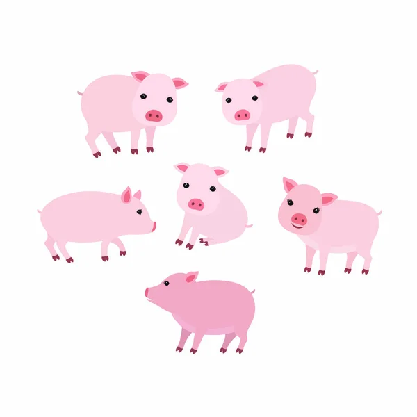 Set of Vector Cartoon Illustration. Cute Pigs in Different Poses for you Design. — Stock Vector