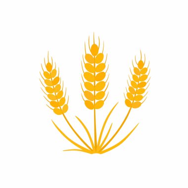 Buğday vektör simgesi. Buğday buket. İllüstrasyon izole beyaz zemin üzerine