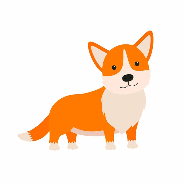 Χαριτωμένο σκυλί φυλής ουαλλέζικο corgi. Μπορεί να χρησιμοποιηθεί για αυτοκόλλητο, patch, τηλέφωνο περίπτωση, αφίσα, μπλουζάκι, κούπα και άλλο σχέδιο. — Διανυσματικό Αρχείο
