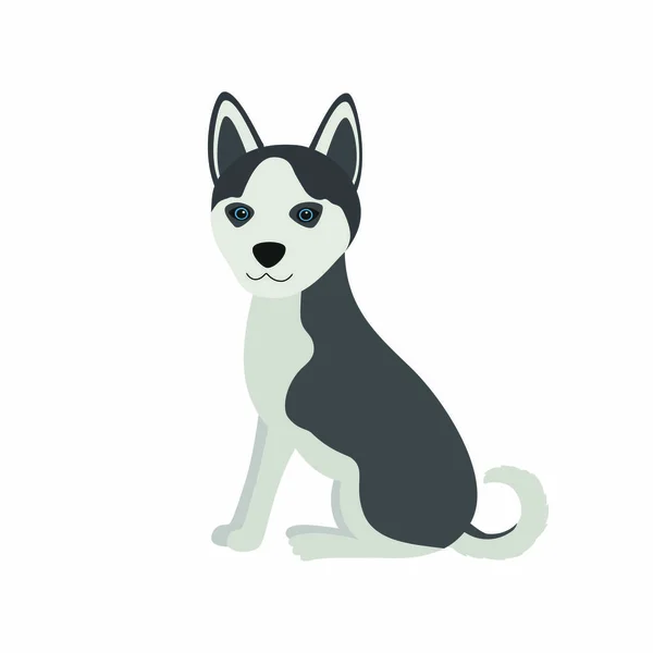 Mignon chien Sibérien Husky Purebred assis vue de face, illustration vectorielle . — Image vectorielle