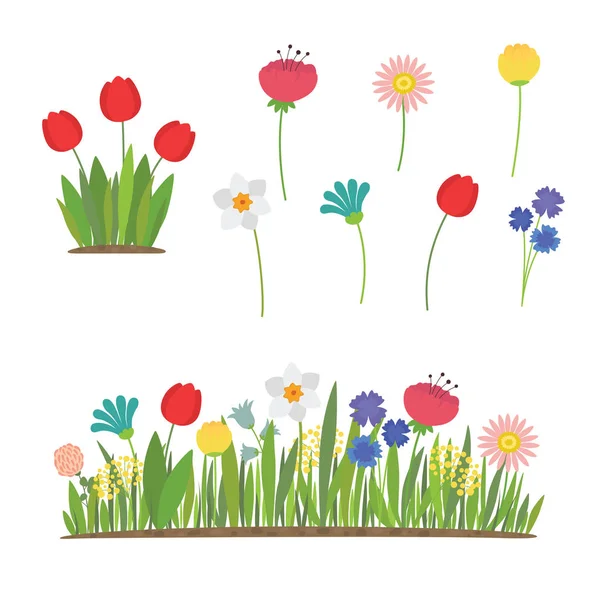 Spring flowers growing in the garden. Tulips, daffodils and other flowers — Stock Vector