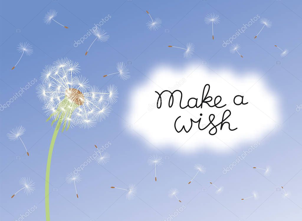 Make a wish card with dandelion fluff.