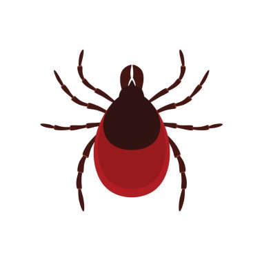 Mite parazitleri. Paraziti Tick. Acarus, hayır. Vektör Illustration