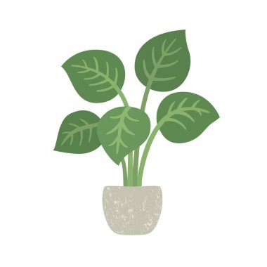 Saksılı ev bitkisi. Vektör illüstrasyon izole. Eps10