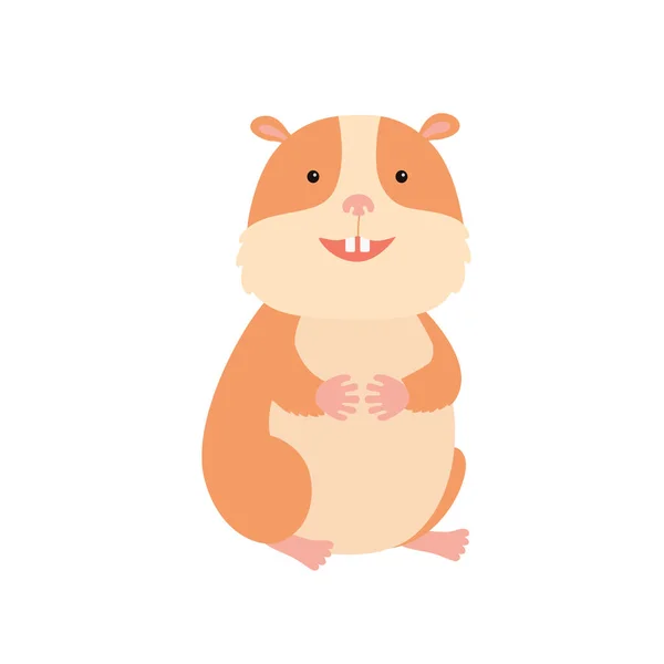 Hamster bonito, ilustração vetorial no fundo branco —  Vetores de Stock