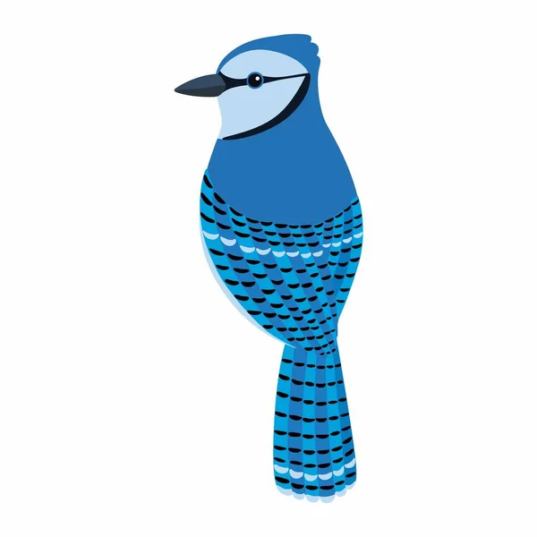 Blå Jay fågel vektor Illustration, fågel vektor — Stock vektor