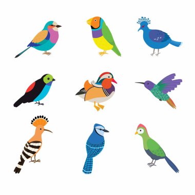 Gezegendeki en güzel kuşlardan oluşan bir set. Vektör illüstrasyonu