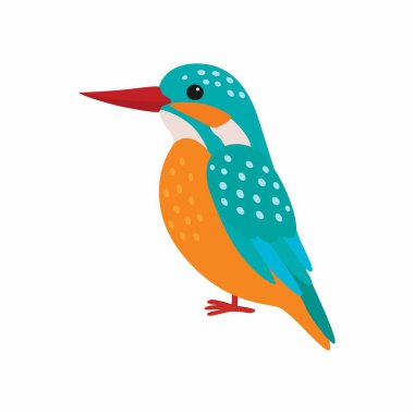 Kingfisher vektörü. Düz tasarımlı yırtıcı kuşlar vahşi yaşam konsepti.