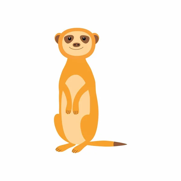 Roztomilá meerkat. Vektorové ilustrace izolované na bílém pozadí. — Stockový vektor