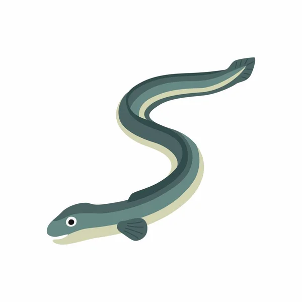 Pez anguila. Ilustración vectorial aislada sobre fondo blanco. — Vector de stock
