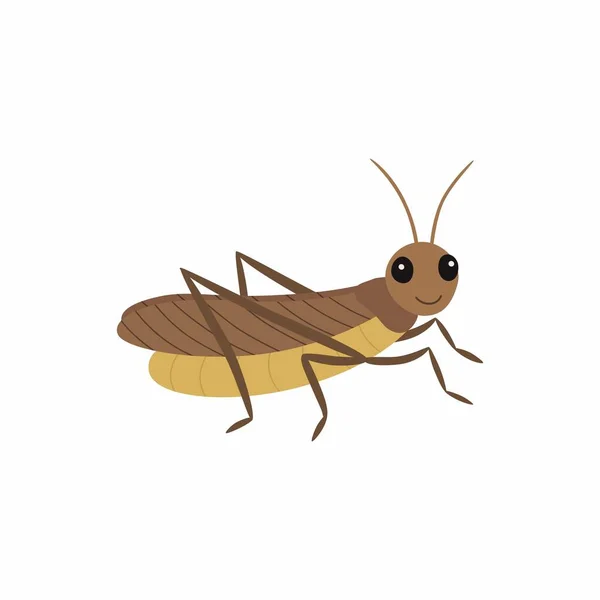 Locust. Vector illustration isolated on white background. — Stock Vector