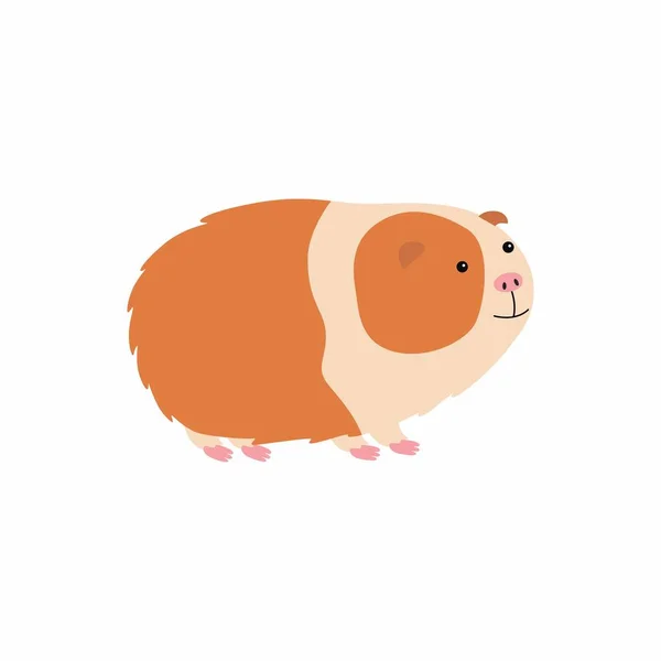 Ilustración vectorial de cobaya de dibujos animados lindo. — Vector de stock