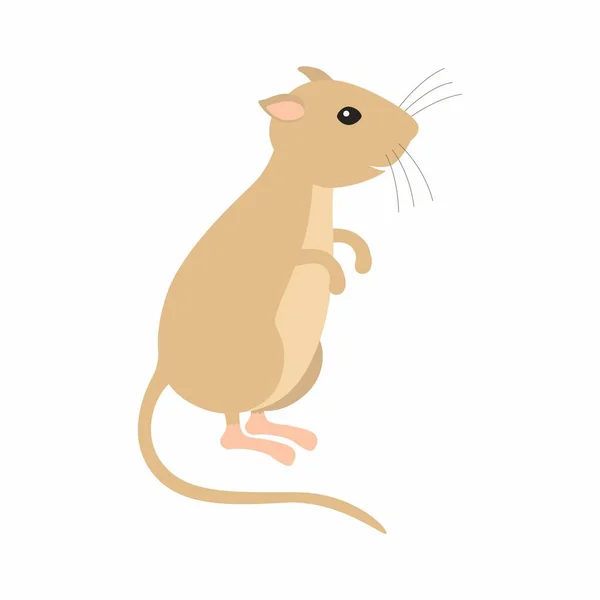 Gerbil sentado de pé. Ilustração vetorial isolada. —  Vetores de Stock