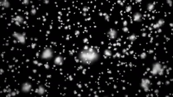Падающие снежинки на черном фоне — стоковое видео