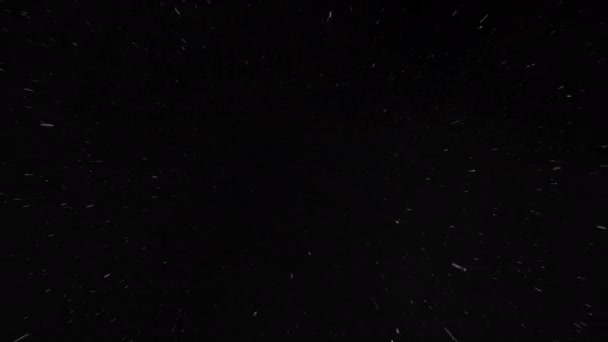 黒い背景に雨、現実的なcgi. — ストック動画