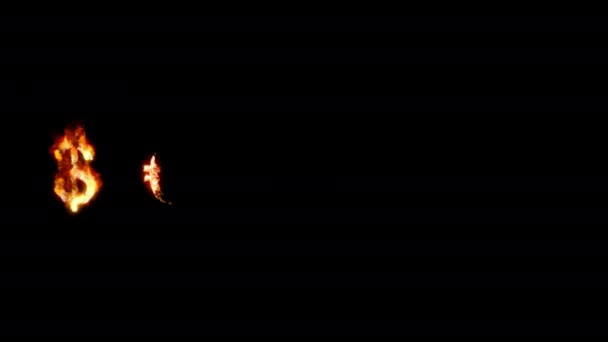 Burning currency signs. Animated fire and smoke. Included alpha channel — Stock Video