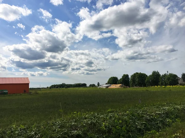 Doğa. Cumulus bulutları. Çayır