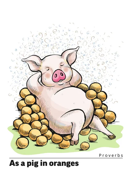 Una serie de postales con un lechón. Proverbios y dichos. Como un cerdo en naranjas — Archivo Imágenes Vectoriales