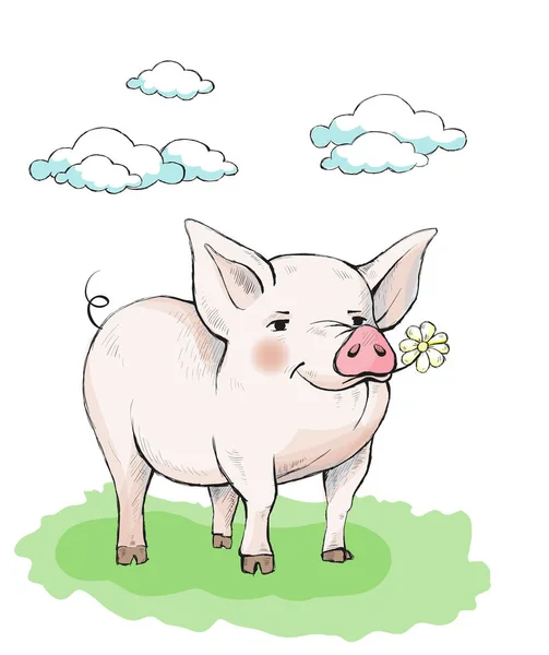 Cute piglet with rosy pink cheeks is standing on the grass. In the mouth eats a flower chamomile. — Stock Vector