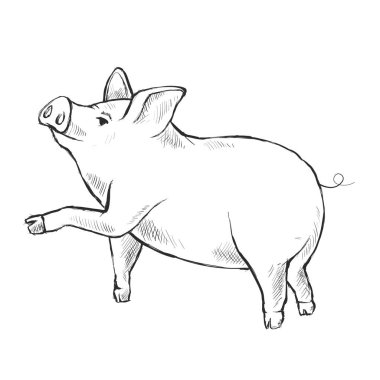 Dağılım çizim için. Komik domuz. Çizilmiş. Çocuklar için boyama.