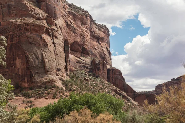 Cenário Dentro Chão Desfiladeiro Canyon Chelly Chinle Arizona — Fotografia de Stock