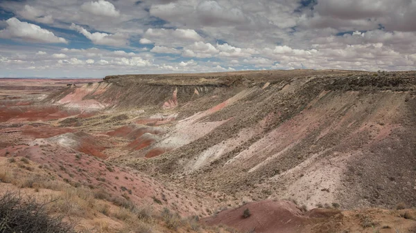 Paisaje Del Desierto Pintado Cerca Holbrook Arizona —  Fotos de Stock