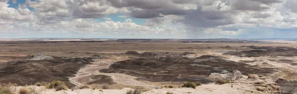 Landschaft Blick Auf Versteinerten Nationalwald Der Nähe Von Holbrook Arizona — Stockfoto