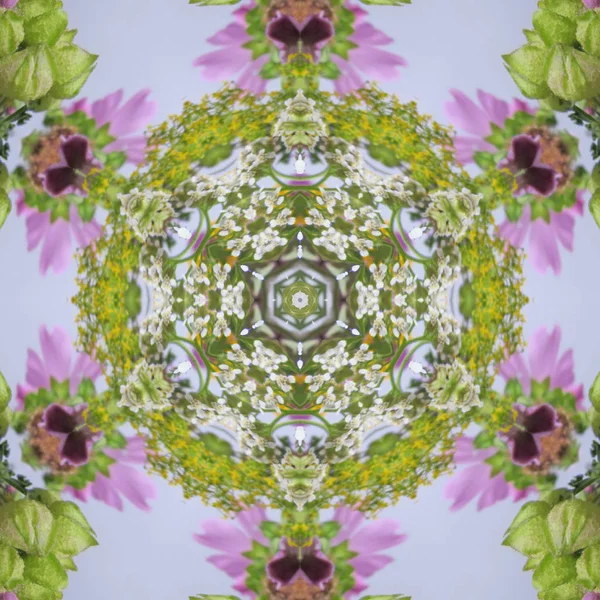 Abstract multicolored background centered. Regular round and symmetric flower ornament, pink, violet, white, yellow and light green on lilac. Floral wreath with yarrow, mallow, leaves and buds.