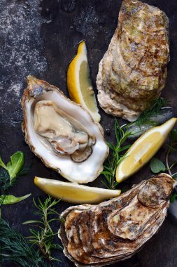 Akdeniz istiridye buz ve limon dilimleri ile karanlık bir arka plan üzerinde. Deniz incelik.