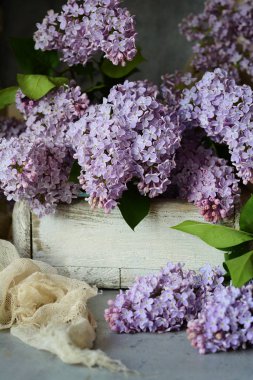 Bir buket çiçek açması leylak rustik tarzda. Güzel kokulu bahar çiçekleri, çiçek.