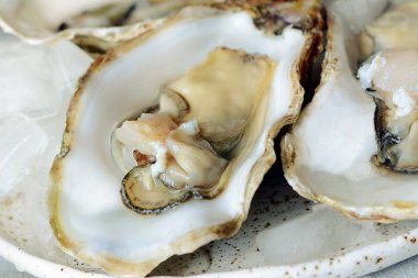 Akdeniz istiridye buz ile hafif bir arka plan üzerinde. Deniz incelik.