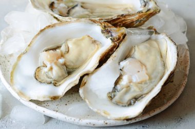 Akdeniz istiridye buz ile hafif bir arka plan üzerinde. Deniz incelik.