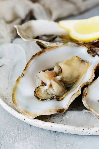 Ostras Mediterráneas Sobre Fondo Claro Con Hielo Delicias Marinas — Foto de Stock