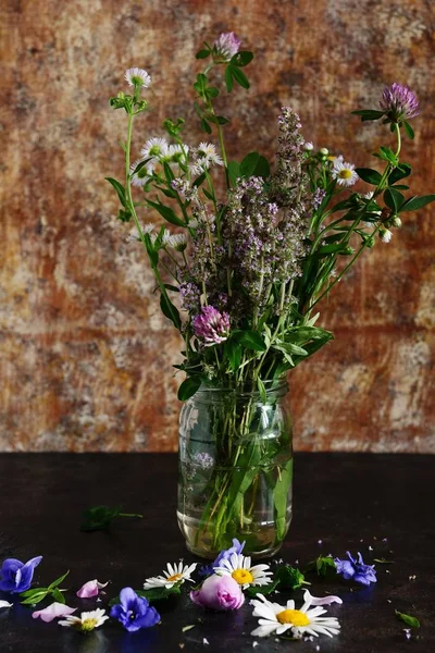 karanlık bir arka plan üzerinde bir cam kavanoza otlar ve kır çiçekleri buketi. Pembe çiçek yonca