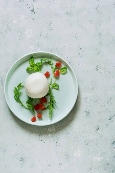 Mozzarella bufalo peyniri domates salsa ile bir akşam yemeği tepside roka ve fesleğen zeytinyağı ile gri bir arka plan üzerinde bırakır. Yemek öğle yemeği için. Öğle yemeği yemek, İtalyan peyniri 