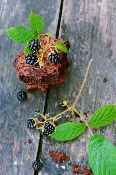 Brownies Chocolate Caseros Con Bayas Silvestres Frescas Sobre Fondo Madera —  Fotos de Stock