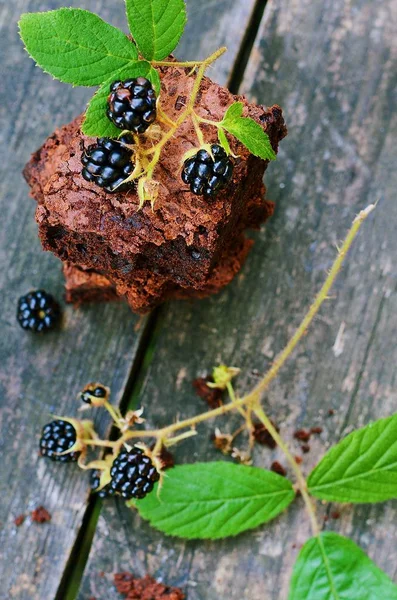 Brownies Chocolate Caseros Con Bayas Silvestres Frescas Sobre Fondo Madera —  Fotos de Stock