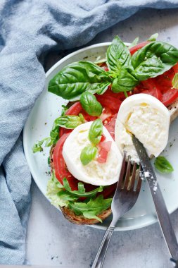 Mozzarella bufalo peyniri domates salsa ile bir akşam yemeği tepside roka ve fesleğen zeytinyağı ile gri bir arka plan üzerinde bırakır. Yemek öğle yemeği için. Öğle yemeği yemek, İtalyan peyniri 