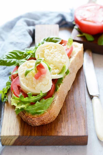 Bruschetta with Mozzarella buffalo cheese on a wooden dining board with tomato salsa leaves of arugula and basil with olive oil on a gray background. Meals for lunch. Lunch snack, italian