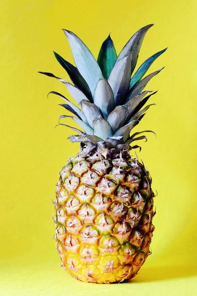 Ananas sarı bir arka plan üzerinde. Plaj ve tropikal Tema. 