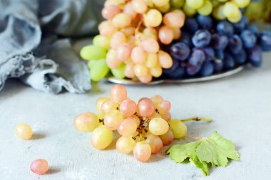 Gri bir arka plan üzerinde taze Olgun üzüm üç çeşit. Hasat. Taze yaz meyve. Tatlı meyve tatlı.
